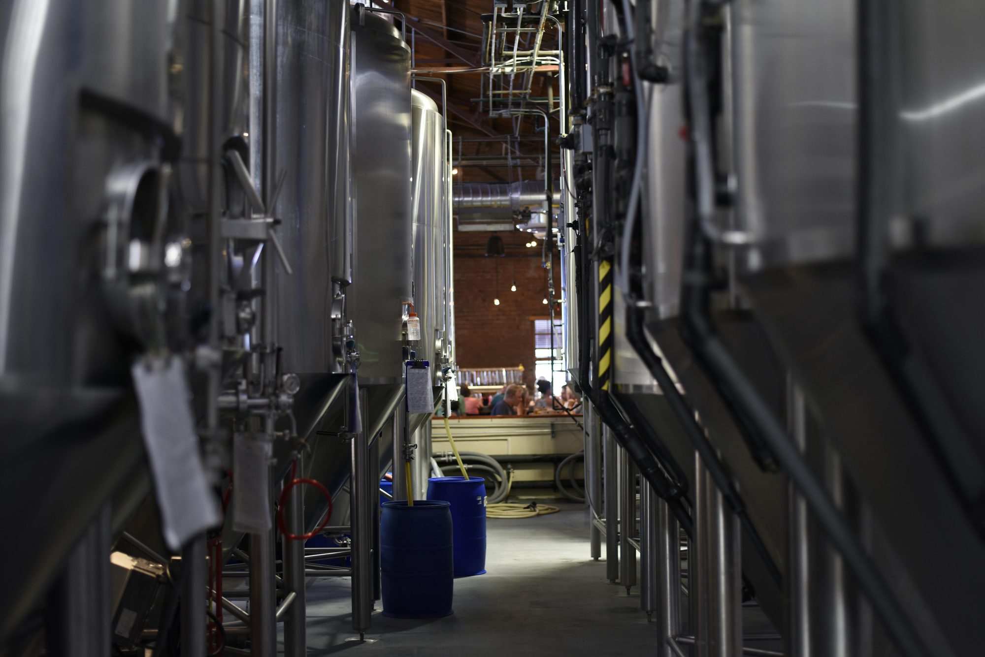 Row of fermentation tanks in a craft brewery cellar facility